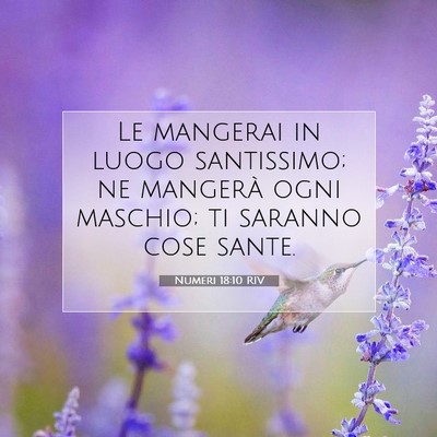 Numeri 18:10 RIV Immagine del Versetto della Bibbia