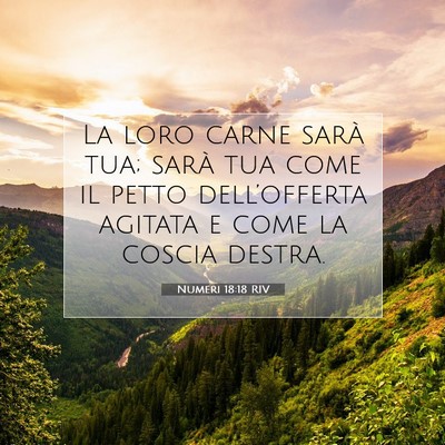 Numeri 18:18 RIV Immagine del Versetto della Bibbia