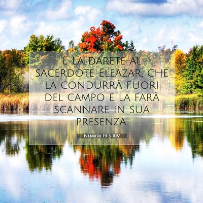 Numeri 19:3 RIV Immagine del Versetto della Bibbia