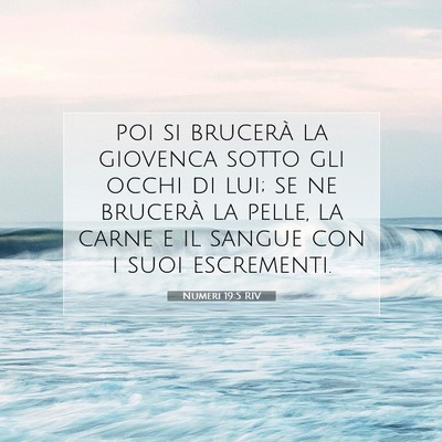 Numeri 19:5 Versetto della Bibbia Spiegato