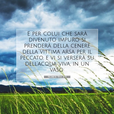 Numeri 19:17 RIV Immagine del Versetto della Bibbia