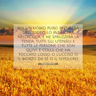 Numeri 19:18 RIV Immagine del Versetto della Bibbia