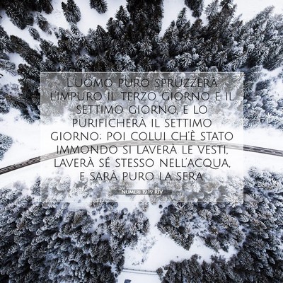 Numeri 19:19 RIV Immagine del Versetto della Bibbia