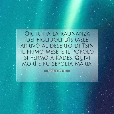 Numeri 20:1 RIV Immagine del Versetto della Bibbia