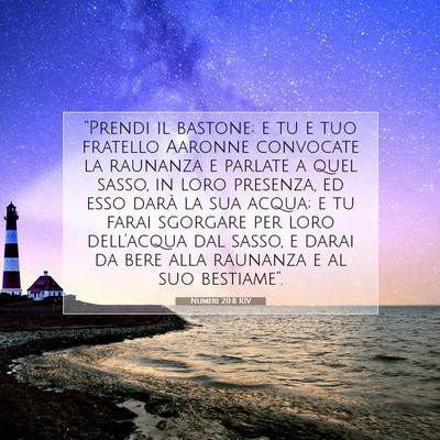 Numeri 20:8 RIV Immagine del Versetto della Bibbia