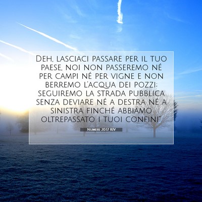 Numeri 20:17 RIV Immagine del Versetto della Bibbia