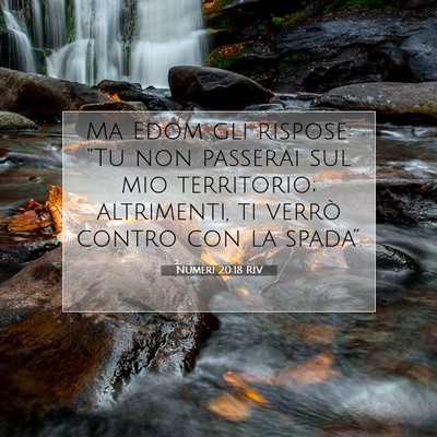 Numeri 20:18 RIV Immagine del Versetto della Bibbia