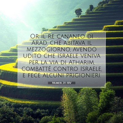 Numeri 21:1 RIV Immagine del Versetto della Bibbia