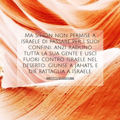 Numeri 21:23 RIV Immagine del Versetto della Bibbia