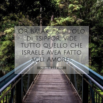 Numeri 22:2 RIV Immagine del Versetto della Bibbia