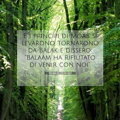Numeri 22:14 RIV Immagine del Versetto della Bibbia