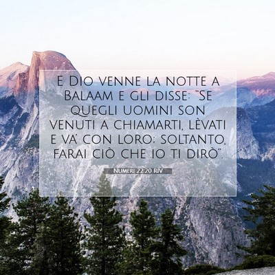 Numeri 22:20 RIV Immagine del Versetto della Bibbia