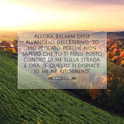 Numeri 22:34 RIV Immagine del Versetto della Bibbia