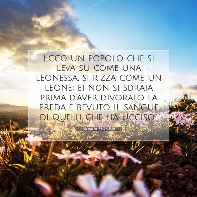 Numeri 23:24 RIV Immagine del Versetto della Bibbia