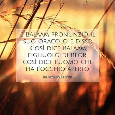 Numeri 24:3 RIV Immagine del Versetto della Bibbia