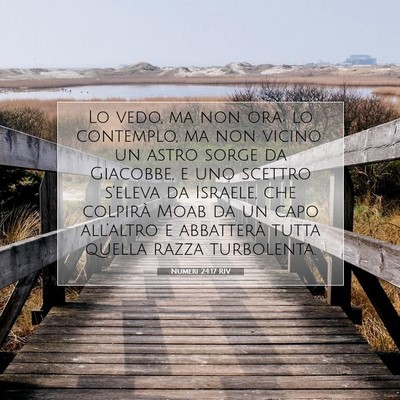 Numeri 24:17 RIV Immagine del Versetto della Bibbia