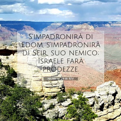 Numeri 24:18 RIV Immagine del Versetto della Bibbia