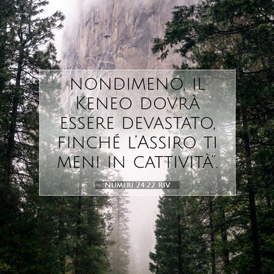 Numeri 24:22 RIV Immagine del Versetto della Bibbia
