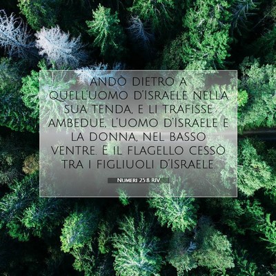Numeri 25:8 Versetto della Bibbia Spiegato