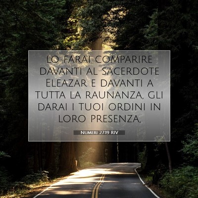 Numeri 27:19 RIV Immagine del Versetto della Bibbia