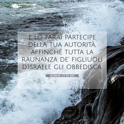 Numeri 27:20 RIV Immagine del Versetto della Bibbia
