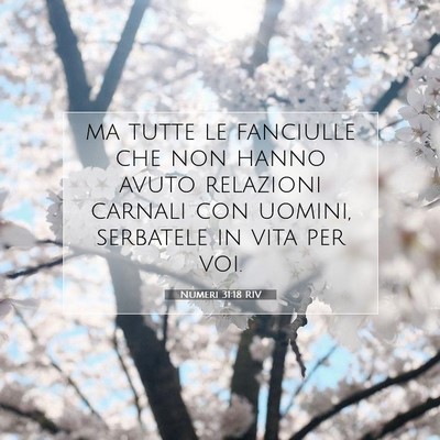 Numeri 31:18 Versetto della Bibbia Spiegato