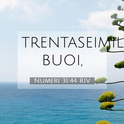 Numeri 31:44 Versetto della Bibbia Spiegato