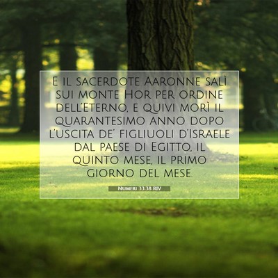 Numeri 33:38 RIV Immagine del Versetto della Bibbia