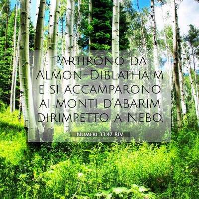 Numeri 33:47 RIV Immagine del Versetto della Bibbia