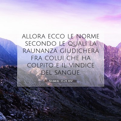 Numeri 35:24 RIV Immagine del Versetto della Bibbia
