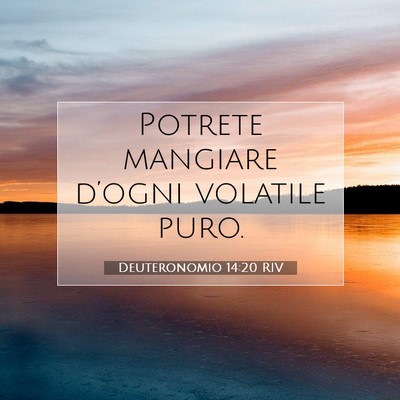 Deuteronomio 14:20 Versetto della Bibbia Spiegato