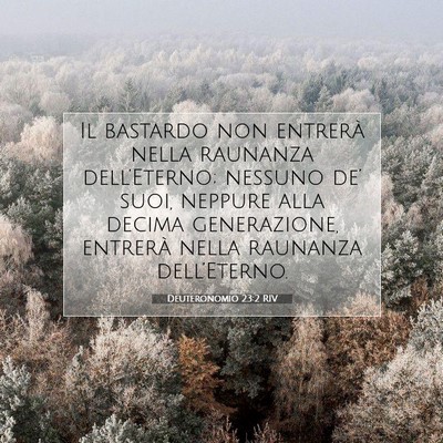 Deuteronomio 23:2 RIV Immagine del Versetto della Bibbia