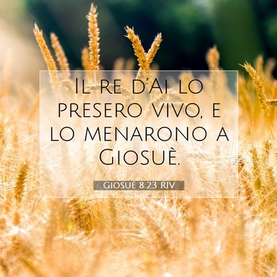 Giosué 8:23 Versetto della Bibbia Spiegato