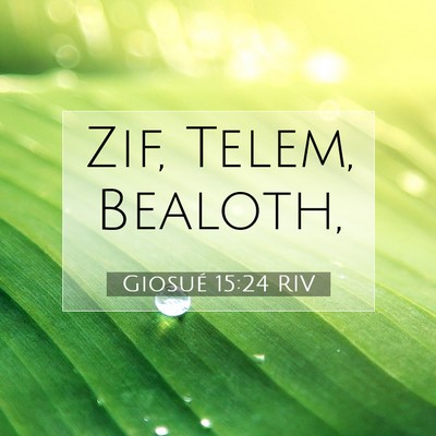 Giosué 15:24 RIV Immagine del Versetto della Bibbia