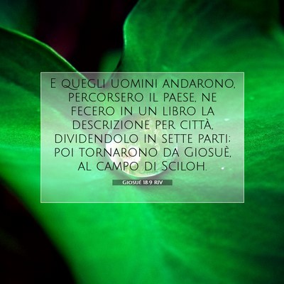 Giosué 18:9 RIV Immagine del Versetto della Bibbia