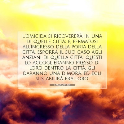 Giosué 20:4 RIV Immagine del Versetto della Bibbia
