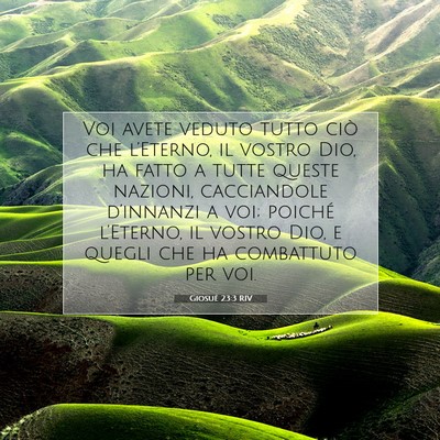 Giosué 23:3 RIV Immagine del Versetto della Bibbia
