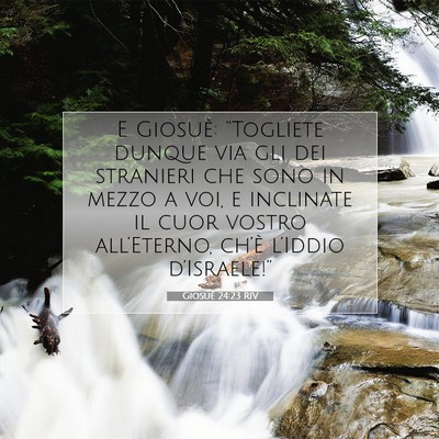 Giosué 24:23 RIV Immagine del Versetto della Bibbia