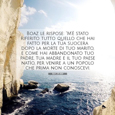 Rut 2:11 RIV Immagine del Versetto della Bibbia