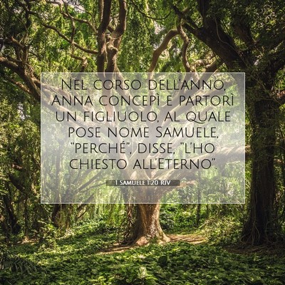 1 Samuele 1:20 Versetto della Bibbia Spiegato