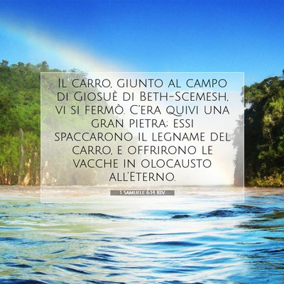 1 Samuele 6:14 Versetto della Bibbia Spiegato