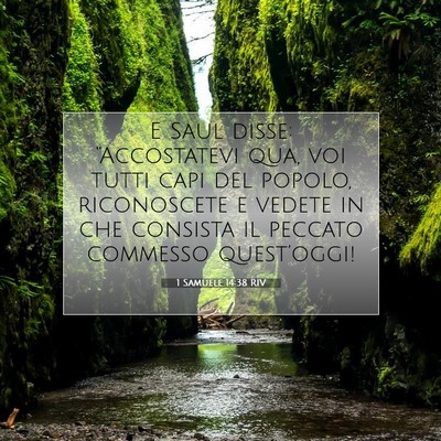 1 Samuele 14:38 Versetto della Bibbia Spiegato