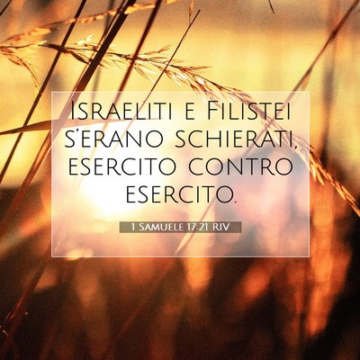 1 Samuele 17:21 RIV Immagine del Versetto della Bibbia