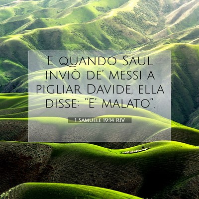 1 Samuele 19:14 Versetto della Bibbia Spiegato