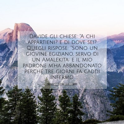 1 Samuele 30:13 Versetto della Bibbia Spiegato