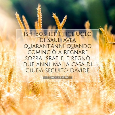 2 Samuele 2:10 RIV Immagine del Versetto della Bibbia