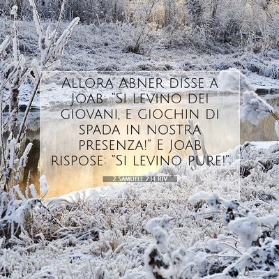 2 Samuele 2:14 RIV Immagine del Versetto della Bibbia