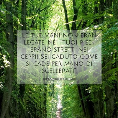 2 Samuele 3:34 RIV Immagine del Versetto della Bibbia