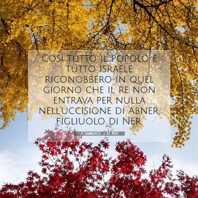 2 Samuele 3:37 RIV Immagine del Versetto della Bibbia