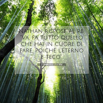2 Samuele 7:3 RIV Immagine del Versetto della Bibbia